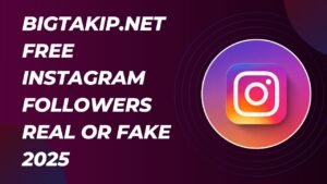 Bigtakip.net Free Instagram Followers Real or Fake 2025 - USANEWSCITY